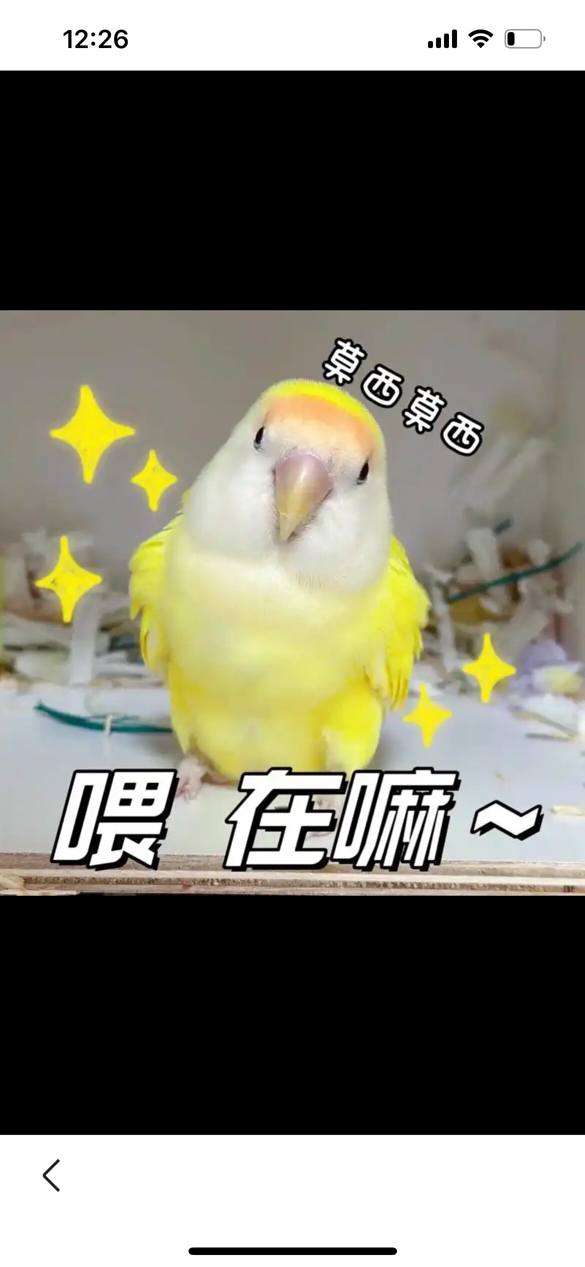 宠物小窝123的LOGO