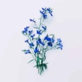 whiteのblue