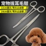 Chó nhổ kìm tai làm sạch Teddy VIP kéo kìm tai mèo mèo khuỷu tay cầm máu kìm 12cm - Cat / Dog Medical Supplies xi lanh thú y