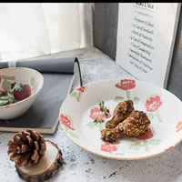 Разное общество, Япония, импортированная из Aito Nordic Flower, Mido -обжаренные керамические блюда ретро -оранжевый порошок