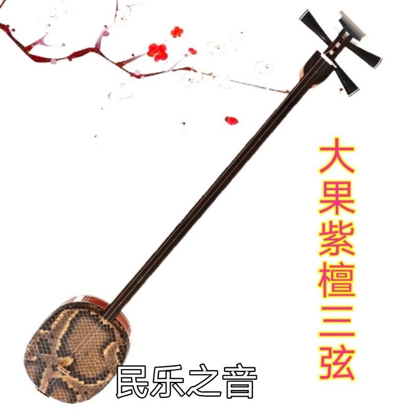 大きな三弦楽器、大きなフルーツ、赤檀、ローズウッド、手作りのマスター演奏、黒檀指板、送料無料、工場直販