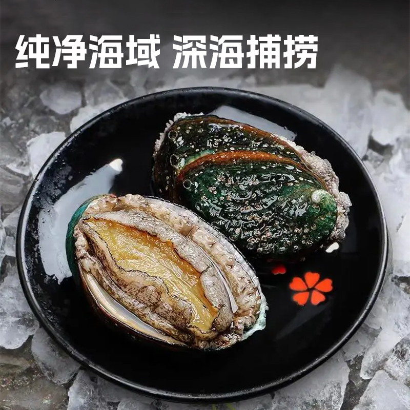鲍鱼肉：鲜活冷冻，火锅必备的海鲜盛宴！