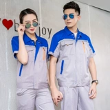 Xia Zuo установит мужскую строку мужской строки Lun Laosa Laby Australia Campization Campization