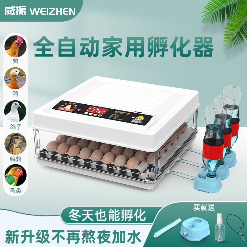 Hatchery Water Bed Small Egg Luding Incubators Small Machine Home Fully Automatic Intelligent Hatching Box Incubators