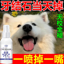 Dog calculus remover dissolves calculus fast-acting bad breath toothpaste divine cleaner softening spray remover