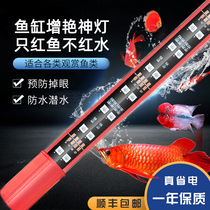 Three-color waterproof fish tank brightening led magic lamp red dragon fish koi arhat parrot special diving lamp not red water