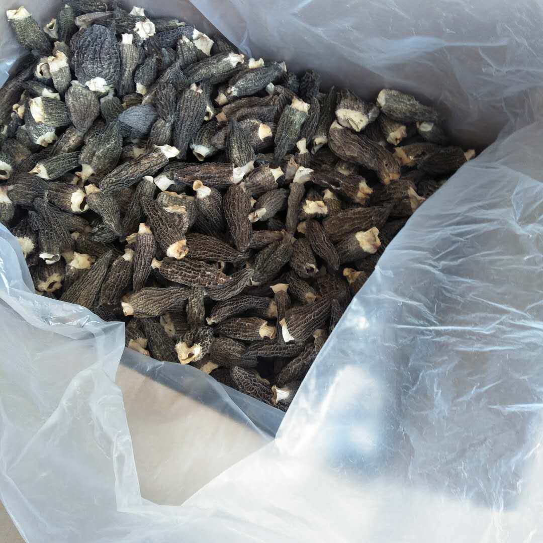 New Cargo Goat Belly Fungus Dry Stock 500g Yunnan Special-born Wild Fungus Fresh Fungus Soup Ladle Mushrooms Mushroom Fungus Class