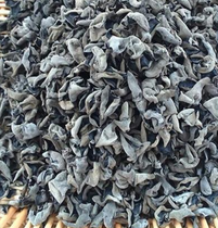 2020 new goods a lot of black fungus 500g Gutian dry goods local autumn fungus dry goods wild fungus