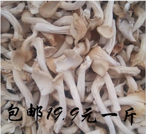 Gutian specialty dried mushrooms 500g dried Zhenji mushrooms Soup Phoenix tail edible mushrooms Xiuzhen mushrooms