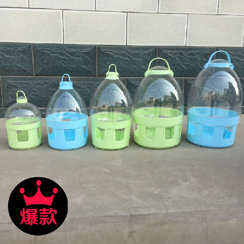 Pigeon racing supplies pigeon kettle pigeon automatic drinking fountain carrier pigeon kettle drinking fountain pigeon drinking fountain