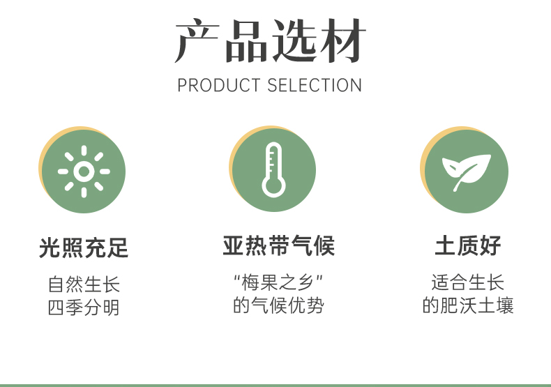 宜康芒果干100g*3袋风味果脯蜜钱组合