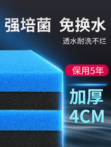 Black Biochemical Cotton Fish Tank Filter Cotton Activated Carbon Water Purification Thickening Aquarium Filter Material High Density Sponge