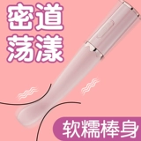 Пара вибрационных стержней разделяет стержни мастурбации, вставленные в электрический массаж, инструмент для секса, инструмент сексуального продукта женщин