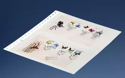 LINDNER Germany Linde TB series double-sided loose-leaf 2-line stamp collection dT802217