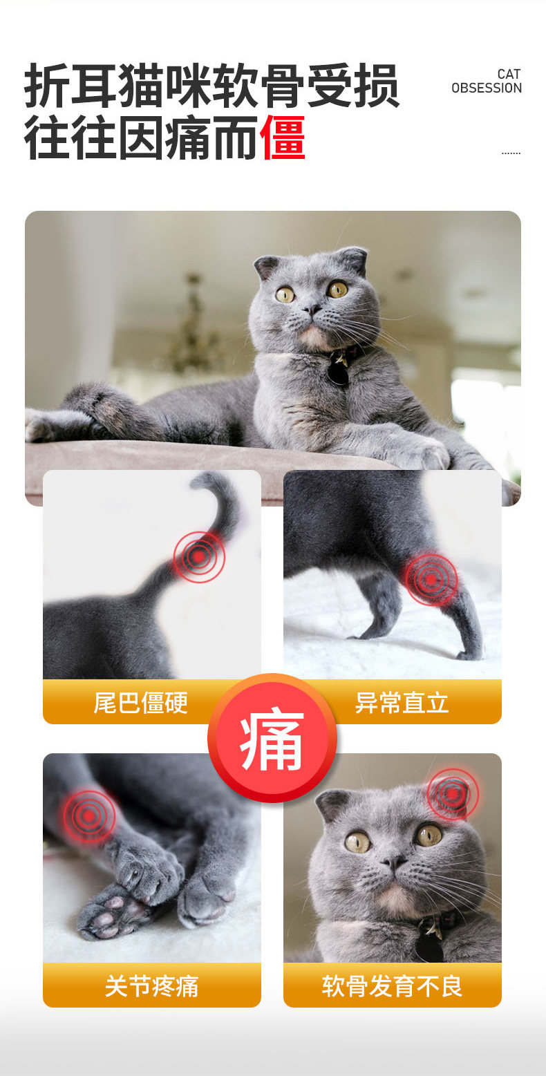 吉吉時尚屋 維斯康鯊魚軟骨素折耳貓專用軟骨素金毛狗狗關節寶犬用關節生腿瘸j2v1 Yahoo奇摩拍賣