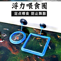 Home Buoyancy Tank Feeding Ring Peacock Fish Small Feeder Red Worm Cup Pitcher Feeding Ring Feed Non-Proliferation Suction Cup