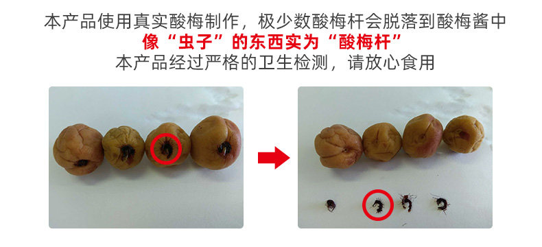 Sour Plum Sauce Description.jpg