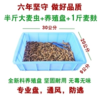 Рекомендуется