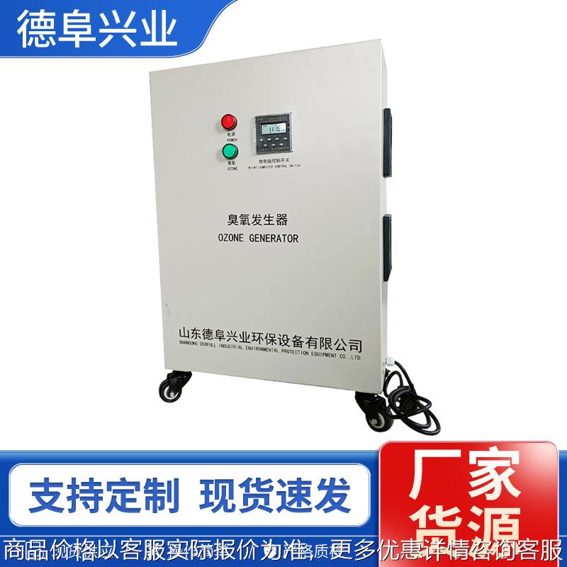 Defu ozone generator 10g stainless steel j chassis food factory pharmaceutical factory sterilization deodorization 5g can be timed