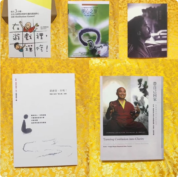 Yongge Mingyur Rinpoche Collection, 5 Books: Take Yourself Home, Meditate in the Game, Please Practice Well