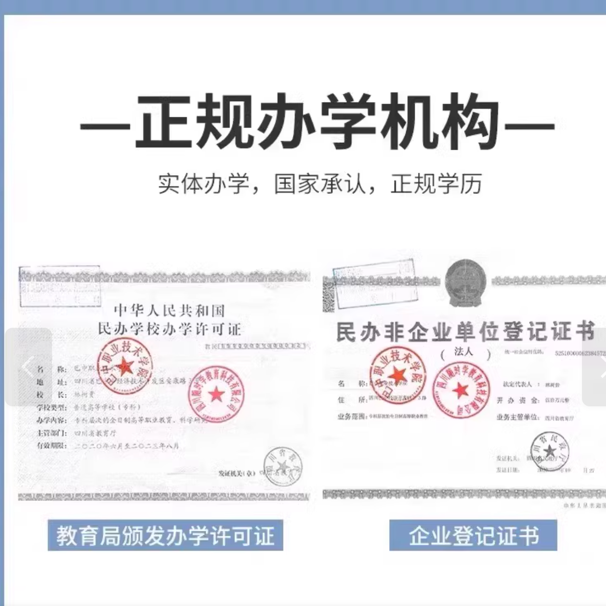 揭秘！学信网学历查查大法，登录入口全解析