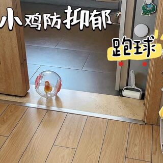 Parrot toy creative bird anti-depression running ball chick