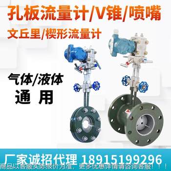 孔板流量计锥/喷嘴/文丘里/楔形流量计环室高温高压节流装置限流