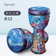Great 12 Caiyun Nanzhun Sonic