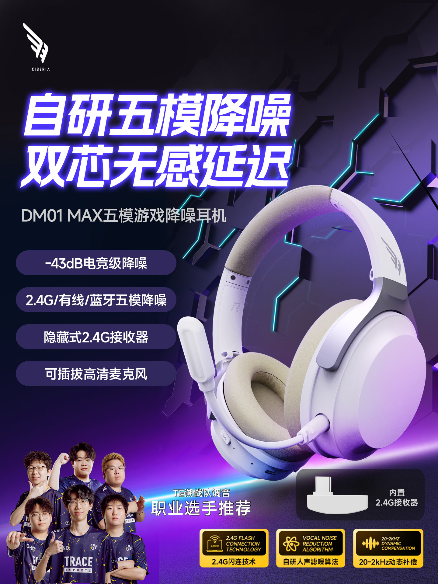 Siberian Feather Dm01Max Wireless Over-Ear Headphones for Gaming, Dedicated for Computers, with Noise-Canceling Microphone
