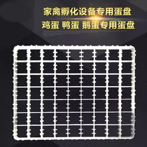 Incubator original egg tray egg tray duck goose quail pigeon egg incubator equipment accessories hatching tray egg tray