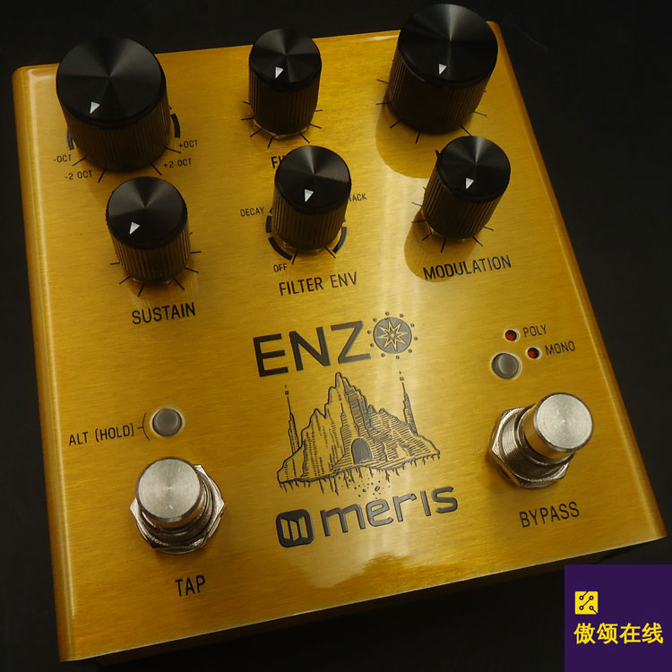 MERIS ENZO Multi-tone SYNTHESIZER Monolithic Effects Polyphonic CHORD TRANSPOSITION FILTERING