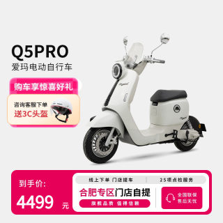 Emma Q5 electric bike lead acid electric bike