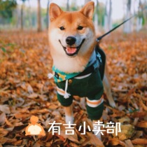 Big Ji Shiba Dog Sweater Pet Clothes Winter Warm Plus Velvet Fighting Bago Handsome Baseball Hoodie