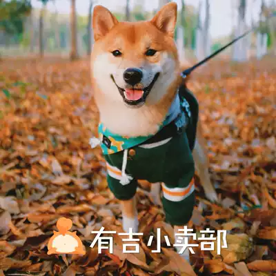 Daji Shiba inu sweater Pet clothes autumn and winter warm plus velvet French Doupago handsome baseball uniform hoodie