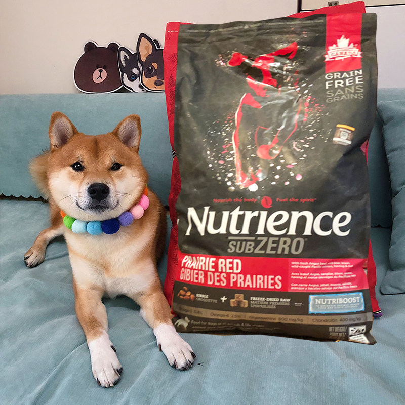 Spot Chai Dog Dog Eating Hagen Newcuisis Black Diamond Red Meat Dog Food Freeze-dried No Valley Full Dog Golden Gross Kiri Bibear