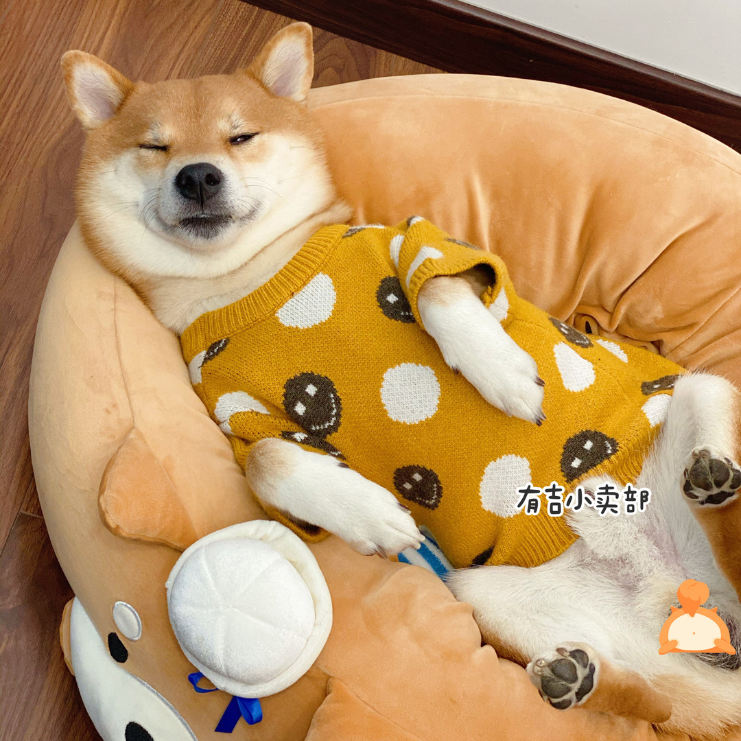 Wood dog autumn/winter sweater Pet cat dog sleeve clothes thick and warm cute smiley face INS wind knitwear than bears