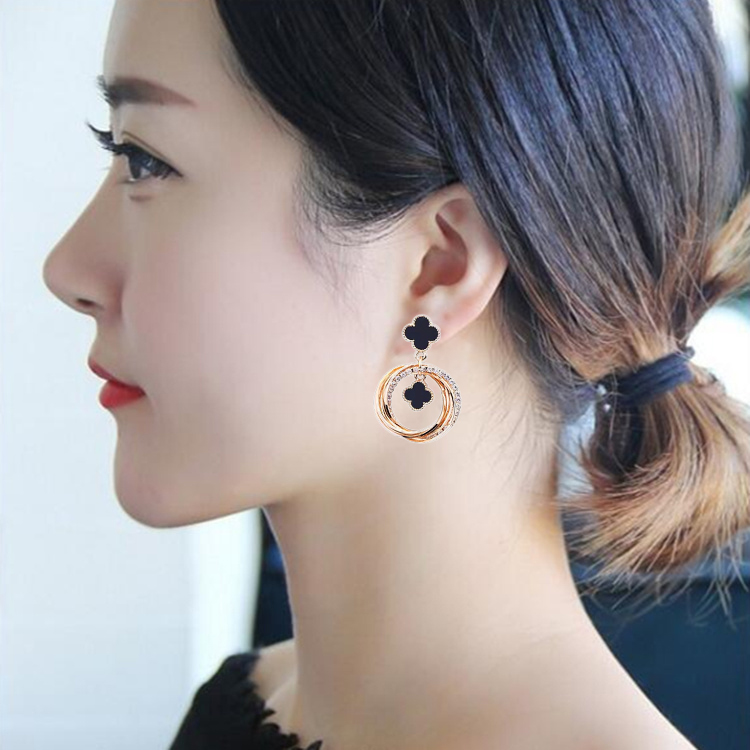 Korean temperament 925 silver needle earrings female 2022 new circle style black earrings net red all-match earrings earrings
