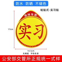 [1 наклейка] Наклейка для стажировки