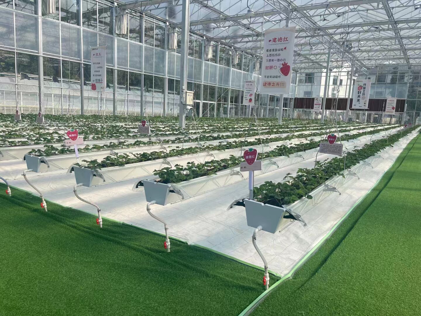 全自动升降种植槽:在家也能当农夫,水培种植轻松上手!-水肥一体化灌溉设备-淘宝好物网