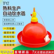 Chicken drinking water fountain Chicken duck goose drinking pot Plasson automatic drinking water fountain thickened chicken feeder feeding