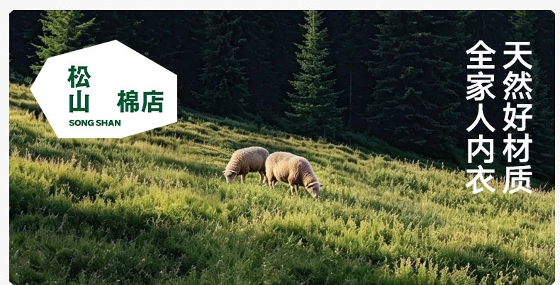 O1CN01JZeCyv1kJi0aLU3QC_!!3399234663.jpg