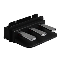 Amason Pearl River Amason electric piano p series three-pedal