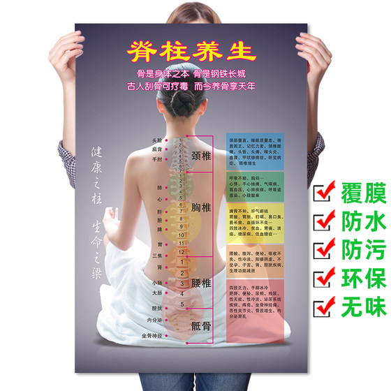 中医养生肩颈脊柱脊椎保养美容拔罐刮痧精油推拿按摩艾灸海报挂图
