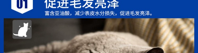 Mai Fudi thức ăn cho mèo 1,5kg thức ăn chủ yếu cho mèo làm đẹp ngắn Anh cá thịt hương vị mèo biển cá làm đẹp tóc thức ăn nói chung mèo