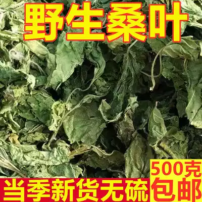 Natural wild Chinese herbal medicine mulberry leaves in bulk 500g