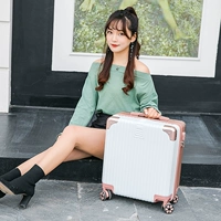 (версия на молнии) белый + золото