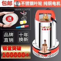 Pumping pump DC submersible 12V high power 24v48 small 60 portable watering outdoor electric car room bottle car