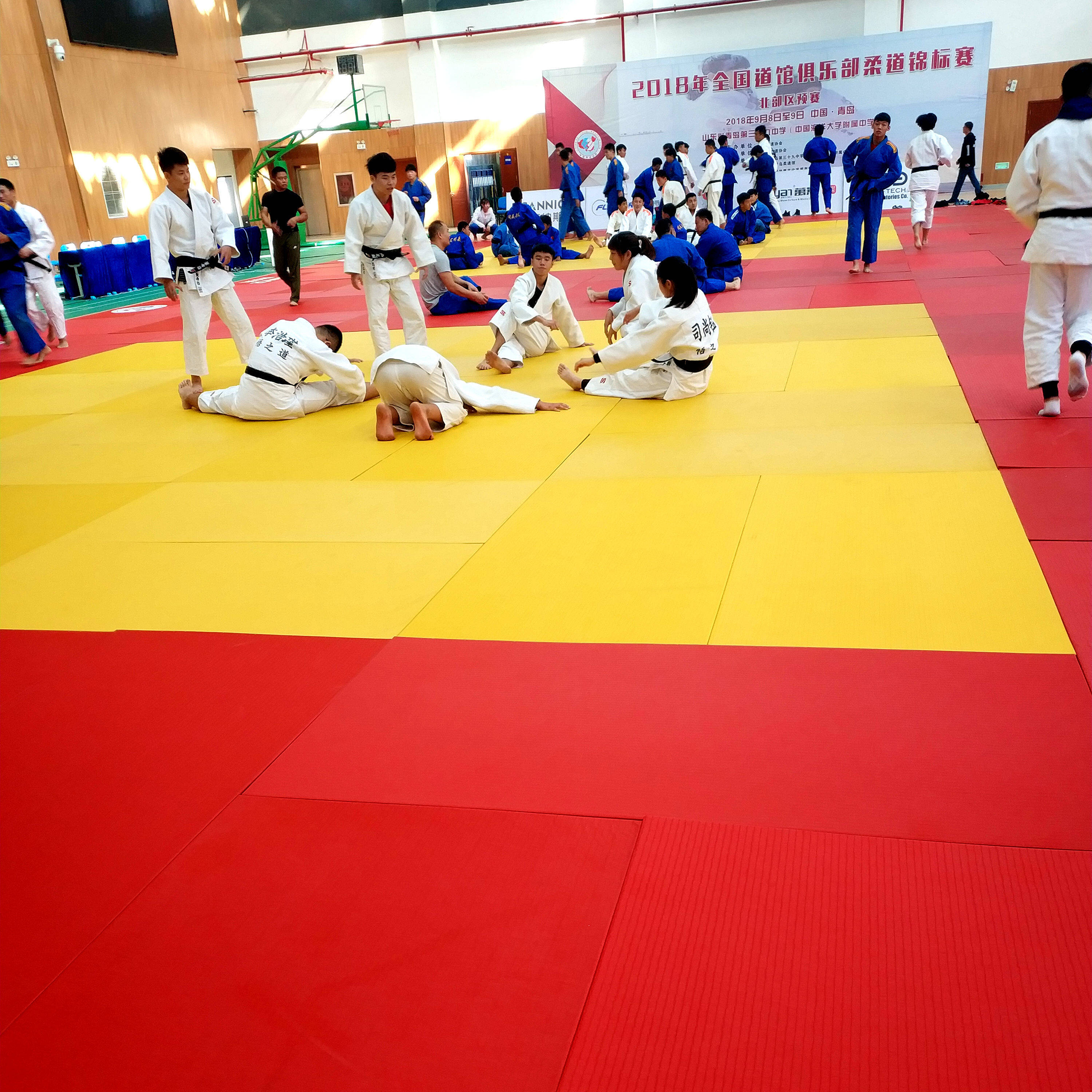 Road mat manufacturers direct fighting martial arts boxing sanda jiu-jitsu mat Wrestling mat Judo tatami mat
