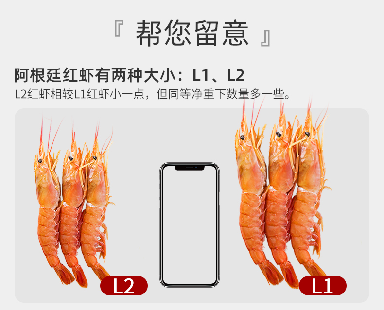 菜帮 L2级 进口阿根廷红虾 净重4斤 单只17-19cm 图3