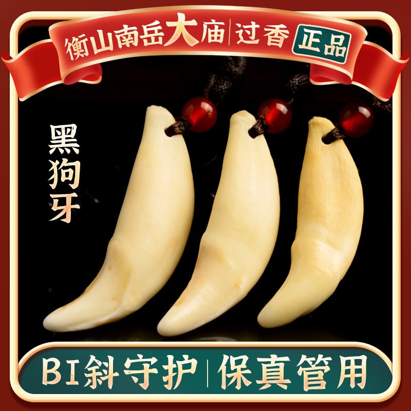 Authentic Dog Tooth Pendant for Babies, Children, Men and Women, Pregnant Women Dog Tooth Necklace Pendant Authentic Dog Tooth Pendant for Babies, Children, Men and Women, Pregnant Women Dog Tooth Necklace Pendant